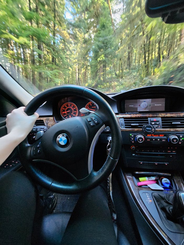 First Person Perspective Picture of a Woman Driving a BMW